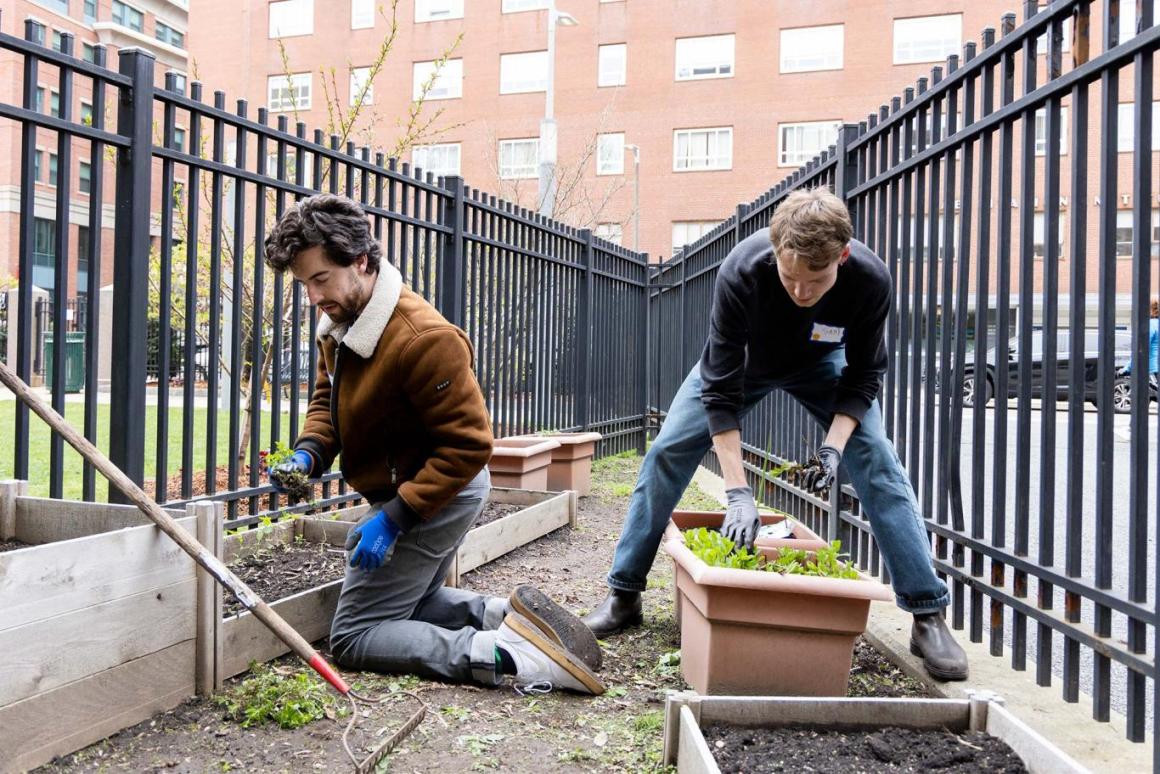 Tufts volunteers worked with Asian Community Development Corporation (ACDC) staff to get Chinatown Backyard ready for the growing season. Chinatown Backyard is a community garden located open to neighbors, located on Tufts’ Health Sciences Campus. The initiative is a partnership between the university, ACDC, and local Chinatown residents., Photo: Laura Swope