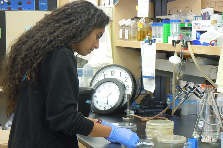 research lab in the Jaharis Building