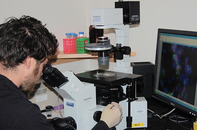 trainee at the microscope