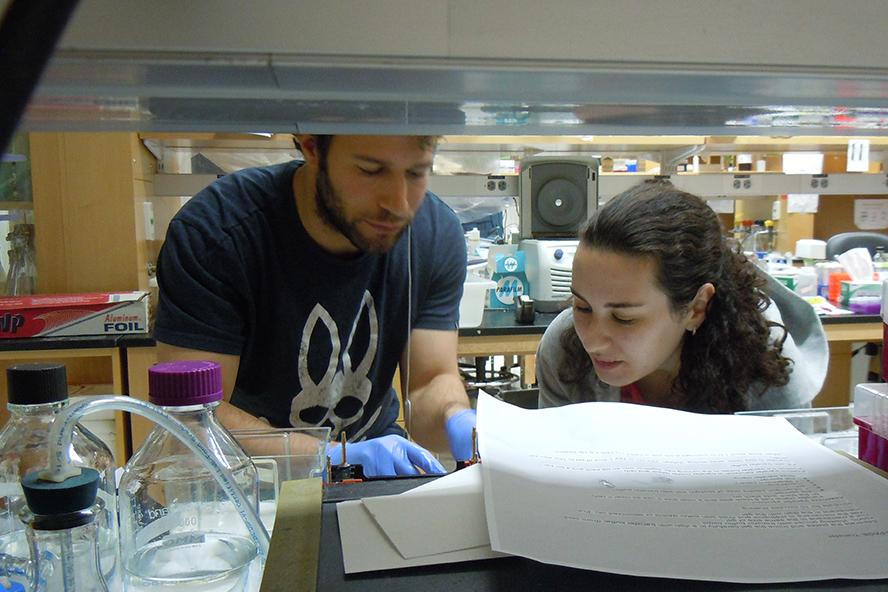 students working in the lab