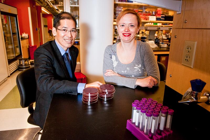 John Leong, Professor and Chair of Microbiology and Basic Science, and Katya Heldwein, Associate Professor of Microbiology and Basic Science at the Tufts University School of Medicine