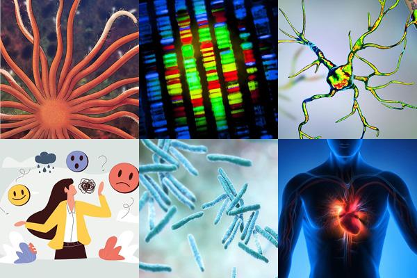 A grid of six photos from the top research stories of 2022