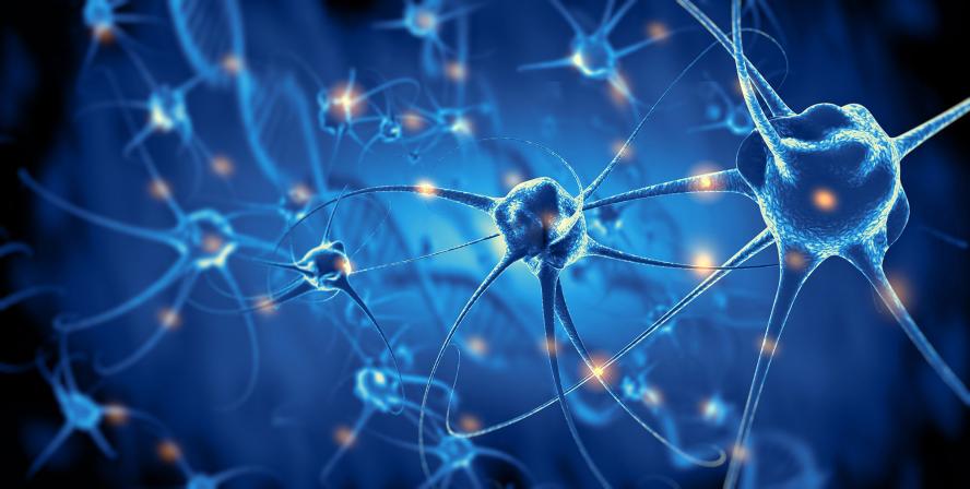 Image on neurons