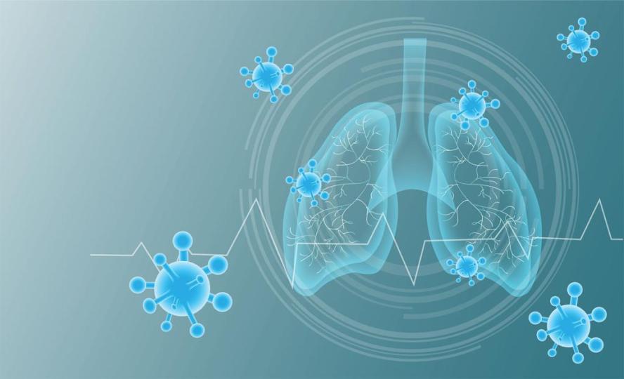 An illustration of virus cells and human lungs. Photo: Shutterstock