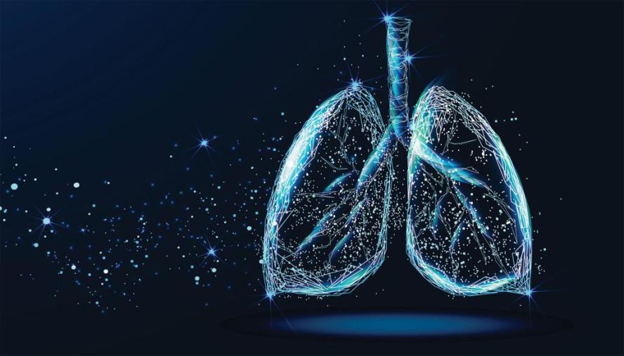 A rendering of healthy human lungs on a blue background. Photo: Shutterstock