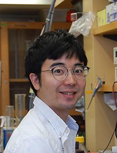hikaru tamura