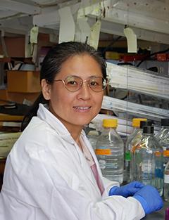 chenyi chu