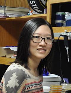 qiwen dong