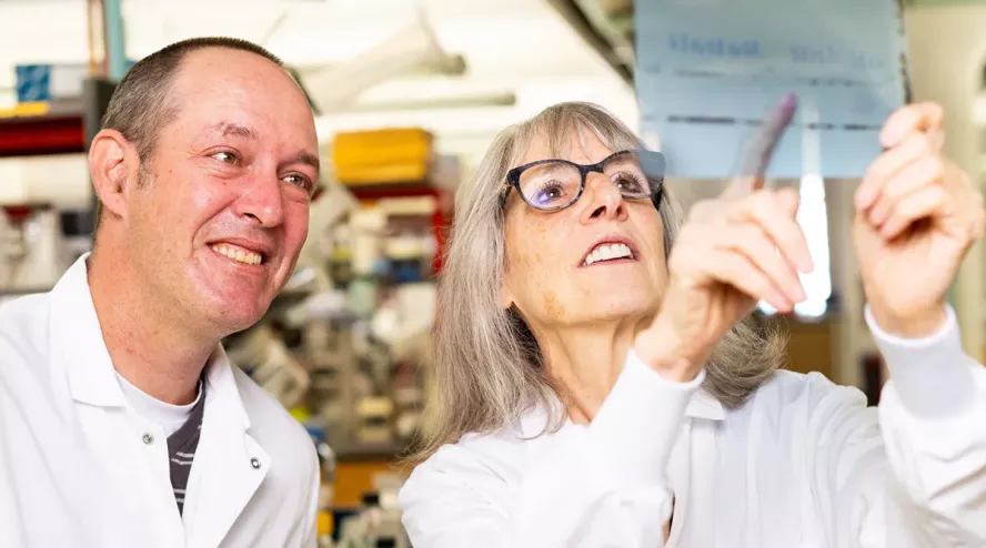 Michele H. Jacob, professor of neuroscience, with Jonathan Alexander, research assistant professor in neuroscience, at work in the Jacobs Lab at the Graduate School of Biomedical Sciences.