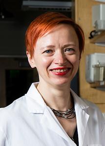 Ekaterina Heldwein, PhD