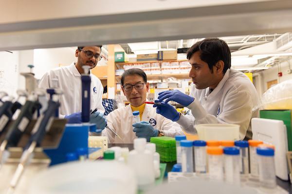 Lab workers
