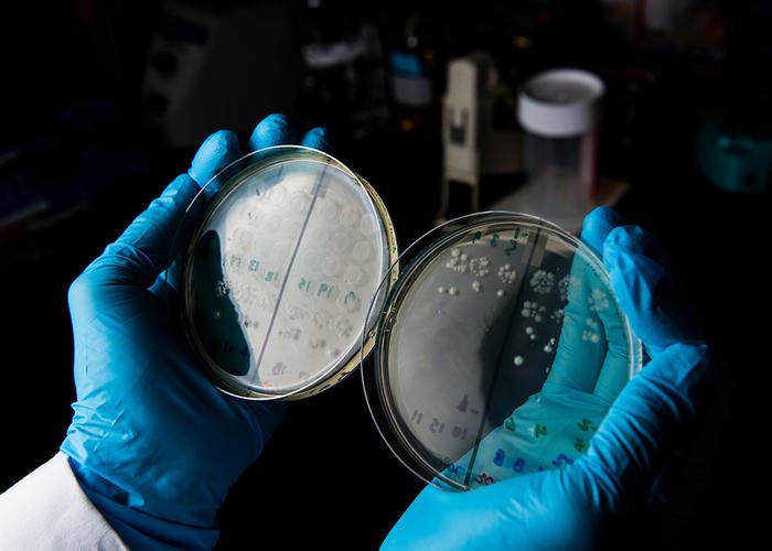 Academic Departments - Molecular Biology and Microbiology. (Photo by Alfonso Nichols)