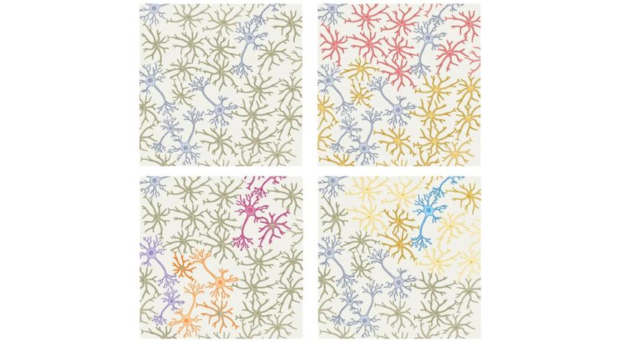 Images: Nature Neuroscience