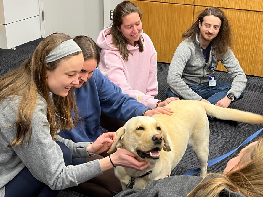 OSW - Pet Therapy