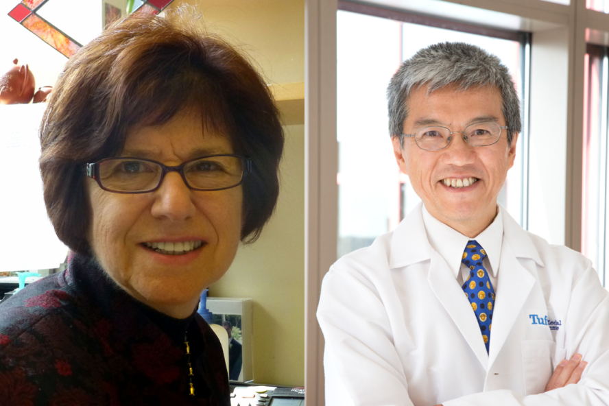 Dr. Gail E. Sonenshein and Dr. John B. Wong