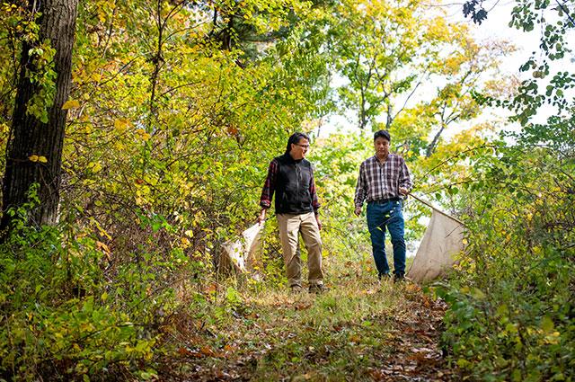 Two men in woods collecting ticks with nets