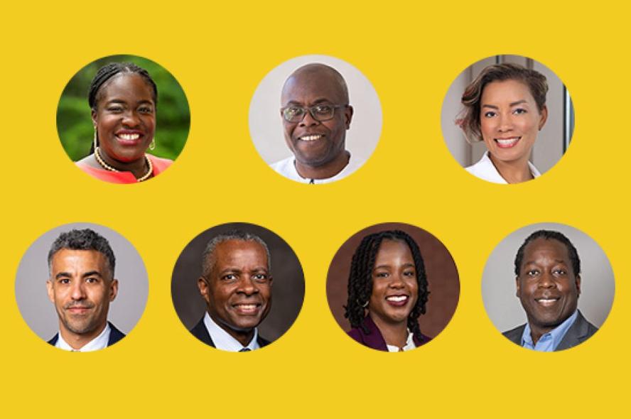 portrait of seven different professors layout in yellow background