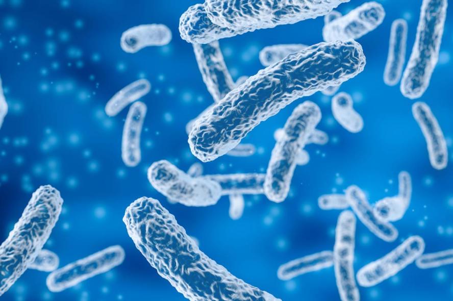 A 3D illustration of microscopic bacteria on a blue background