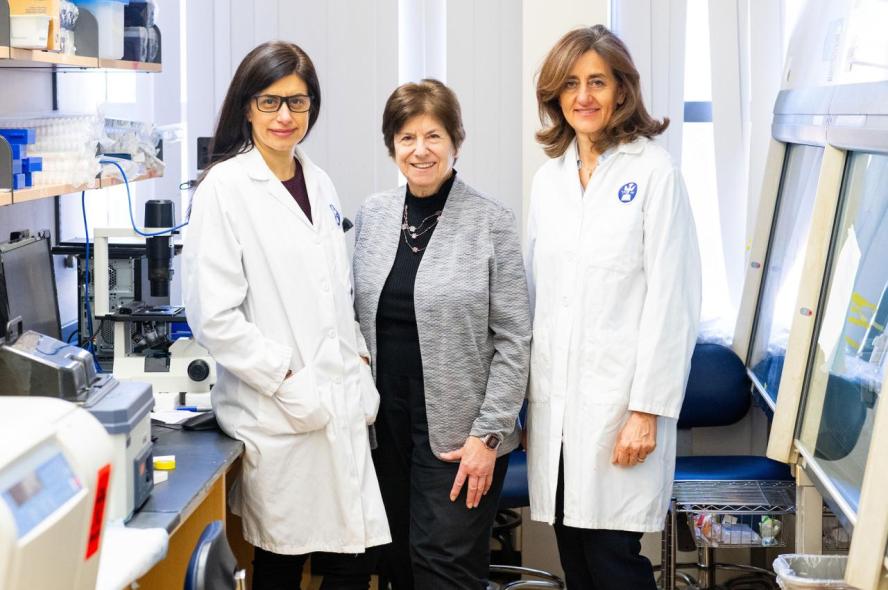 From left: Research associate Nora Mineva, Tufts University School of Medicine Professor Gail Sonenshein, and research assistant Stefania Pianetti.