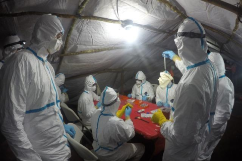 Researchers sampling bats for ebola in Liberia.