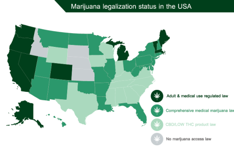 Map of pot legalization in the US