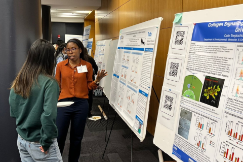 Two students at the 2023 Charlton Poster Competition in MED 114, discussing a research poster