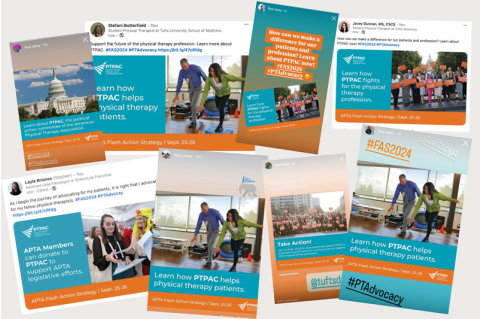 Collage of social media posts by Tufts DPT students