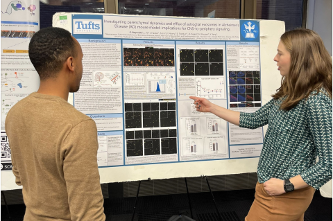 A student at the Charlton Poster competition explaining her research to another student.