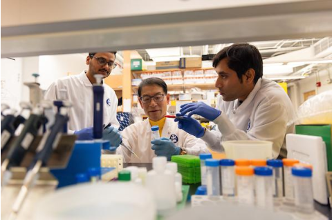 Lab workers