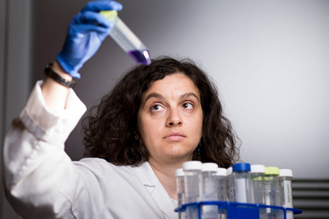 Assistant Professor Marta Gaglia evaluating test tube