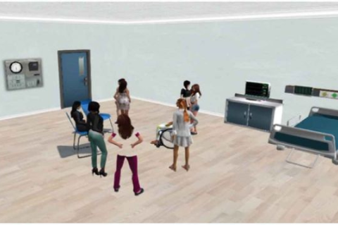 A team of students interviewing the standardized patient in Second Life