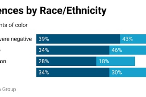 Graph of school experiences by race and ethnicity