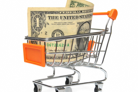 Grocery cart with giant dollar in it