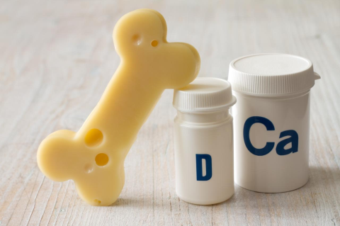 bone made out of cheese next to white bottles labeled D and Ca in blue letters