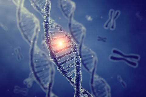 A blue-tinted illustration of a DNA double helix with a portion illuminated in red 