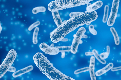 A 3D illustration of microscopic bacteria on a blue background